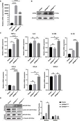 Whole exome sequencing reveals novel variants associated with diminished ovarian reserve in young women